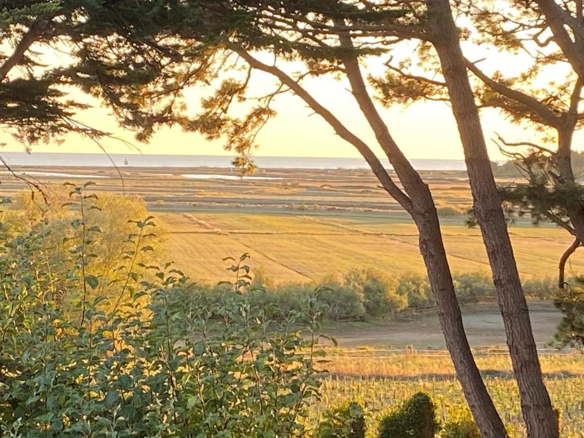 Villa Vieilles Vignes Vue Mer Billiers Dış mekan fotoğraf