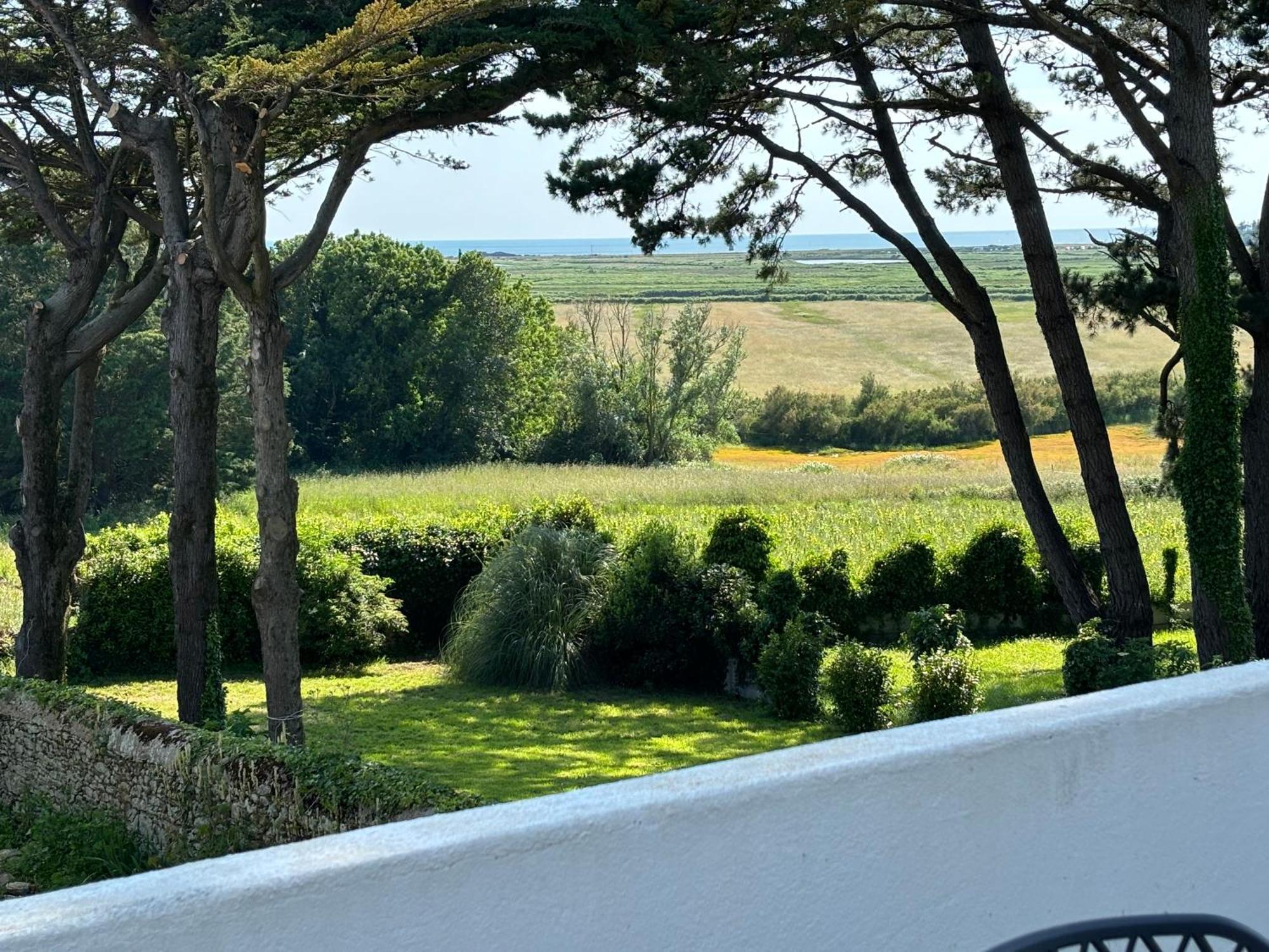 Villa Vieilles Vignes Vue Mer Billiers Dış mekan fotoğraf