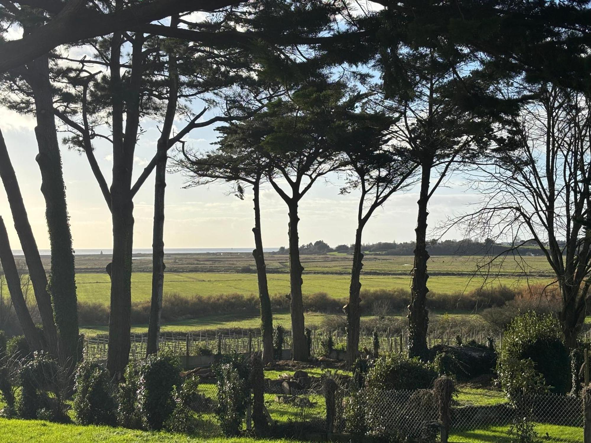 Villa Vieilles Vignes Vue Mer Billiers Dış mekan fotoğraf